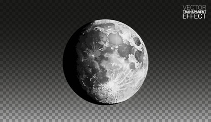 Full gray moon on the dark transparent background.