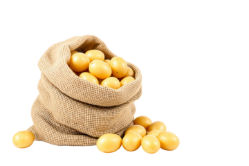 Burlap sack filled with fresh yellow potatoes, isolated on a white background. Some potatoes are spilling out. Concept of agriculture and harvest. Ai generative