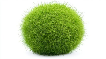 Soft green moss ball with a detailed and fluffy structure, isolated on white background, fine foliage textures, clean edges, sharp focus, and an organic and earthy design.