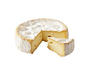 Camembert Cheese Isolated on a White Background