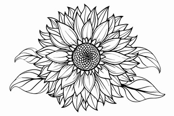 coloring page line art the sunflower black vector