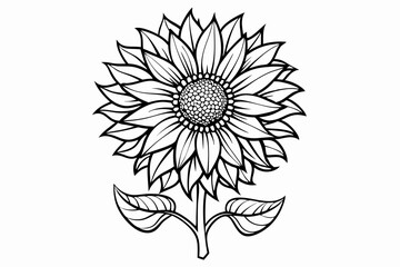 coloring page line art the sunflower black vector