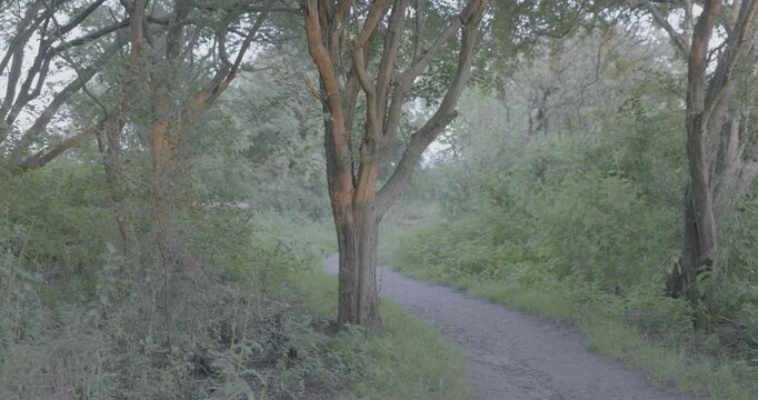 shot on s1h v-log