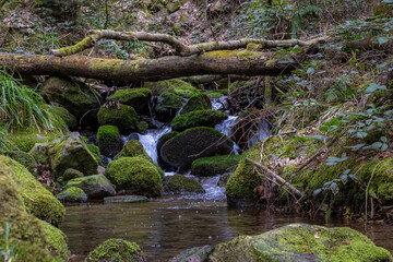 Wasserfall im Wald 