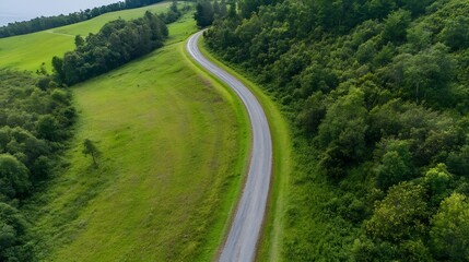 Aerial view of a winding country road surrounded by lush green fields and forests : Generative AI
