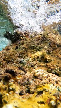 Underwater Slow Motion of the Dynamic Swirling Mirrored Water Ebb and Flow in the Turquoise Waters in a Coral Reef  Formation