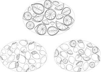 Black and white lemon whole with leaves oval composition set. Vector graphic line ink illustration on transparent background. illustration for package, kitchen design, fabric and textile