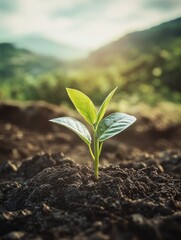New plant sprouting from the soil in a modern, digital representation of growth and innovation
