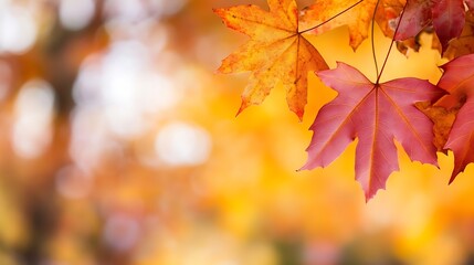 Fototapeta premium Vibrant autumn leaves in shades of red and orange gently swaying in the breeze : Generative AI