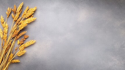 Golden wheat stalks arranged artistically on a textured gray background for decorative use