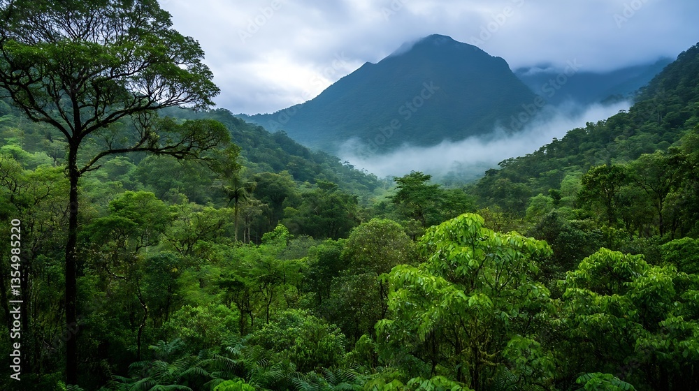 Poster Lush Green Forest with Majestic Mountains and Fog Creating a Mysterious Atmosphere : Generative AI