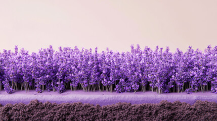 A floating cross-section of a serene lavender field, deep purple flowers blooming in perfect symmetry, neatly layered soil visible below