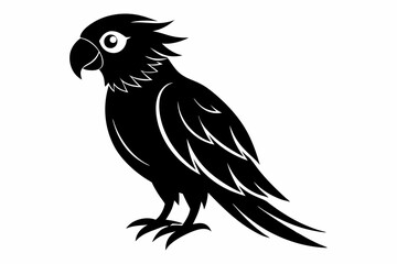 Parrot bird silhouette black vector
