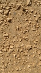 Rough textured sandstone with visible mineral particles, earth, natural, texture