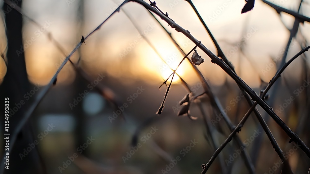 Poster close up of twigs and bare branches against a beautiful sunset background : generative ai