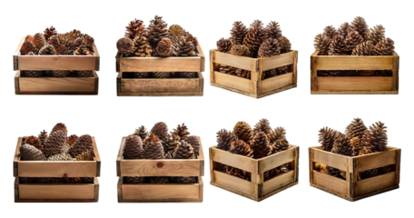 Variety of Wooden Crates Filled with Natural Pine Cones Displayed, PNG bundle collection, Isolated on Transparent Background