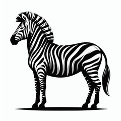 Obraz premium zebra, black and white stripes, side profile, standing pose, detailed illustration, high contrast, minimalist background, wildlife art, graphic design style, sharp edges, silhouette, vector.