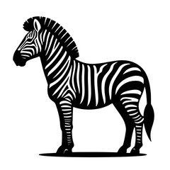 Fototapeta premium zebra, black and white stripes, side profile, standing pose, detailed illustration, high contrast, minimalist background, wildlife art, graphic design style, sharp edges, silhouette, vector.