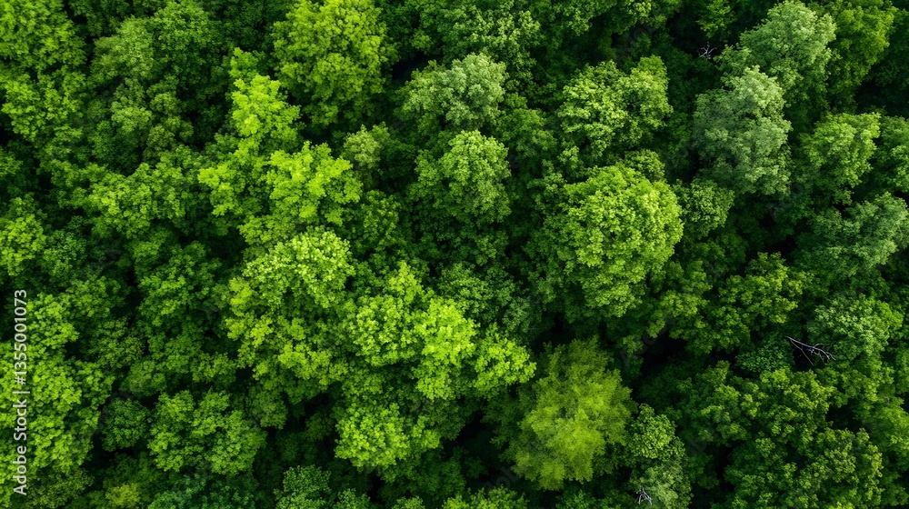 Poster lush green forest aerial view showcasing dense canopy of trees in full summer foliage : generative a