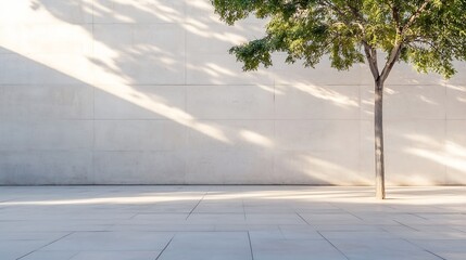 Urban Landscape Featuring a Minimalist Tree Against a Concrete Wall and Soft Shadows : Generative AI