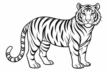 coloring page line art the tiger black vector