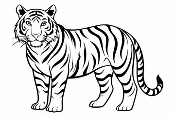 coloring page line art the tiger black vector