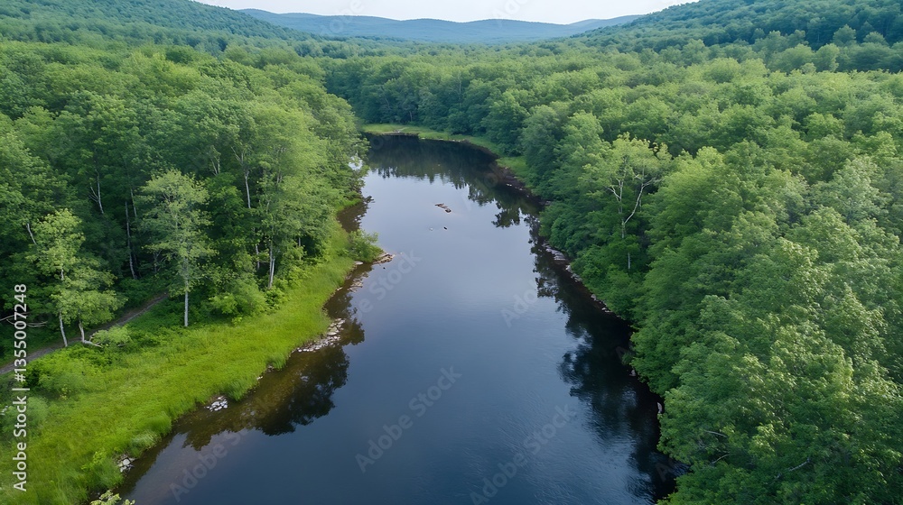 Poster aerial view of tranquil river flowing through lush green forest landscape with hills in the backgrou