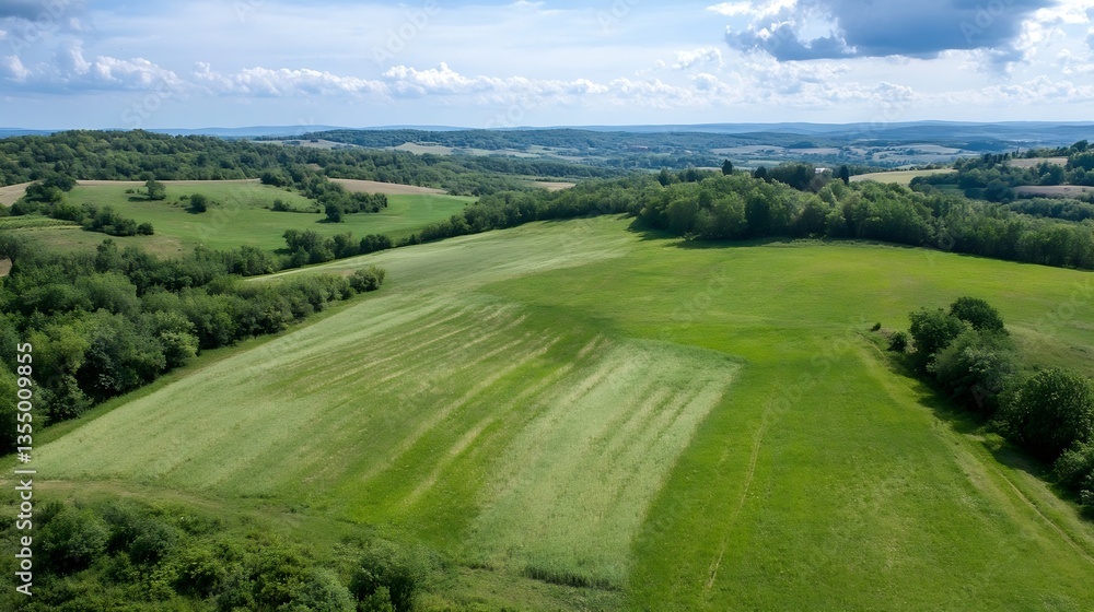 Poster aerial view of lush green fields and rolling hills under a cloudy sky : generative ai