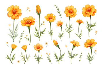 set of yellow flowers