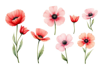 bouquet of red tulips