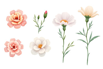 set of spring flowers