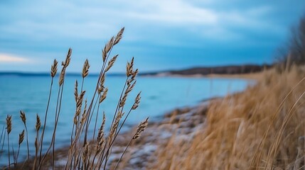 Peaceful lakeside scene with golden grass swaying in the wind under a cloudy sky : Generative AI