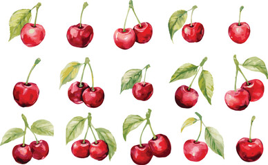 A collection of watercolor vector illustration of cherries