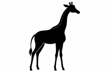 giraffe silhouette black silhouette vector