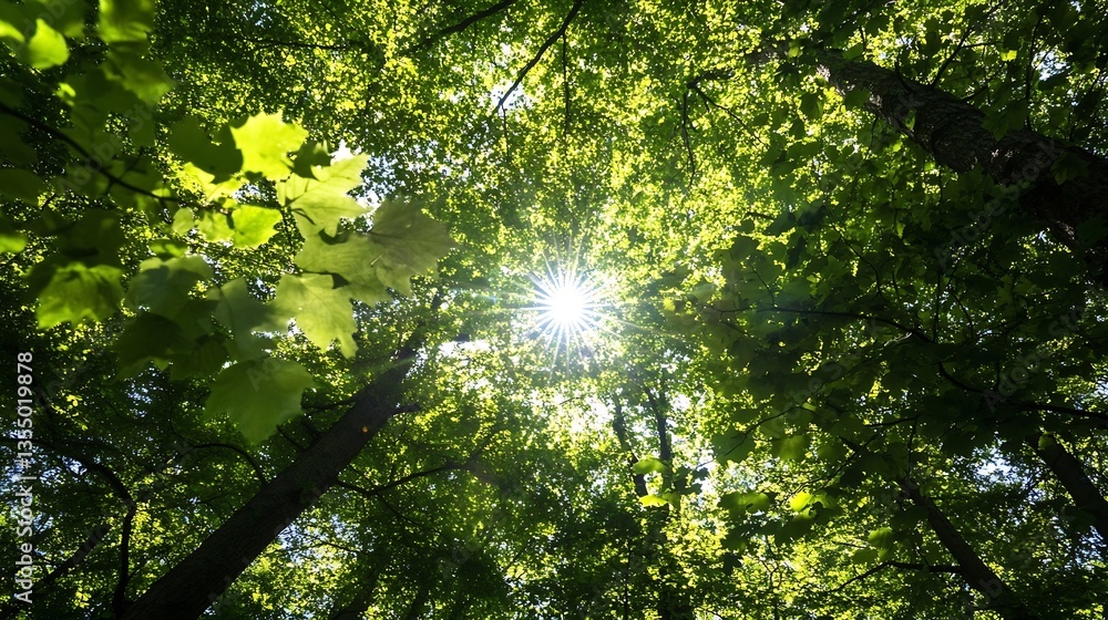 Poster sunlight shining through lush green leaves in a dense forest canopy : generative ai