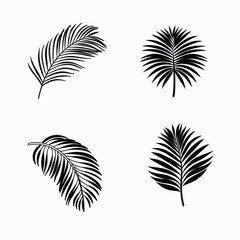 Obraz premium Minimalist Palm Tree Leaf Vector on White Background – Tropical Nature Illustration