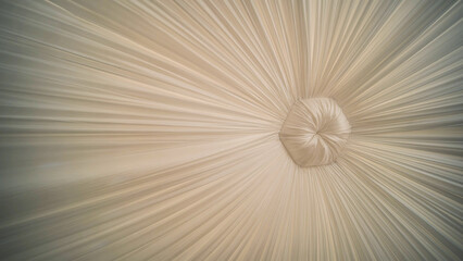 White canopy ceiling radiating from a central point, creating a beautiful pattern for wedding event