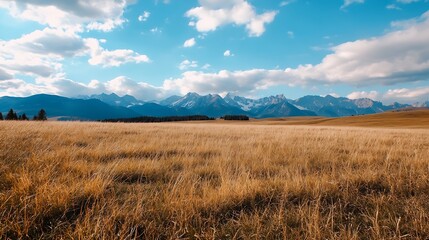 Vast golden grassland under a blue sky with distant mountains providing a stunning backdrop : Generative AI