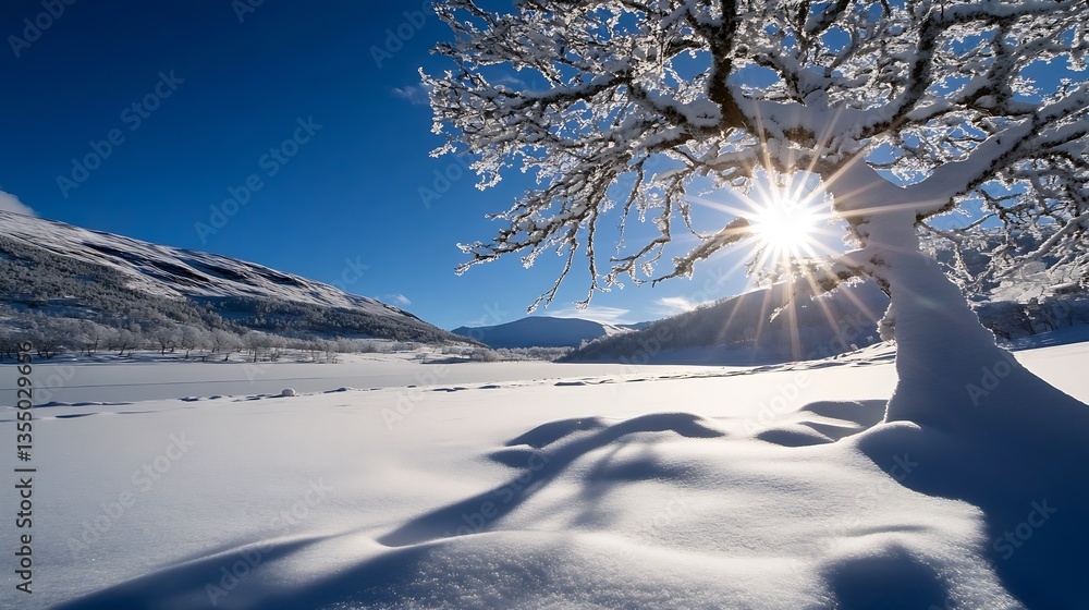 Aufkleber snowy landscape featuring a sundrenched tree casting dramatic shadows on pristine white snow : gener