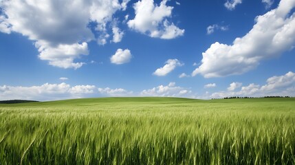 Obraz premium Expansive green field under a vibrant blue sky with fluffy white clouds and natural beauty : Generative AI