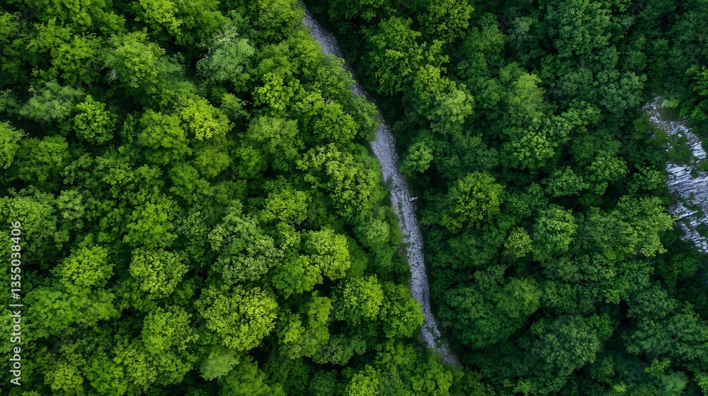Poster aerial view of dense green forest with lush canopies and river : generative ai