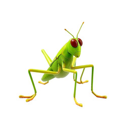 Cartoon Grasshopper on a Transparent Background