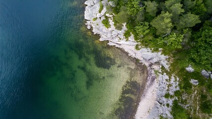 An aerial view of a pristine lake surrounded by lush greenery and rocky shores : Generative AI