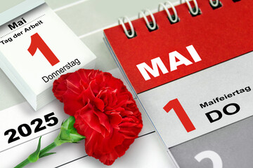 Deutscher Kalender Datum 1. Mai  2025 Tag der Arbeit und rote Nelke