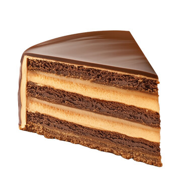 Delicious isolated Hungarian dobos torte with layers and chocolate topping