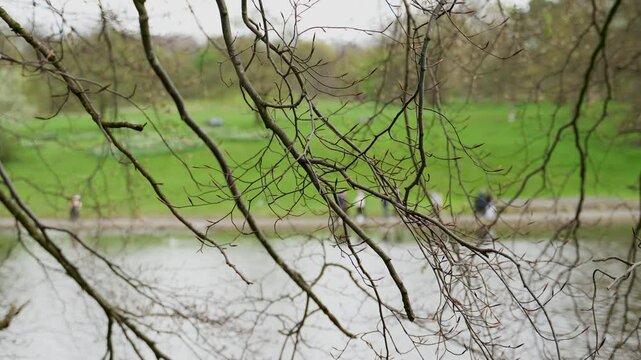 Unrecognizable people, in blurry background, are walking in Sefton park, next to the lake. In the foreground are the branches of a tree in the park