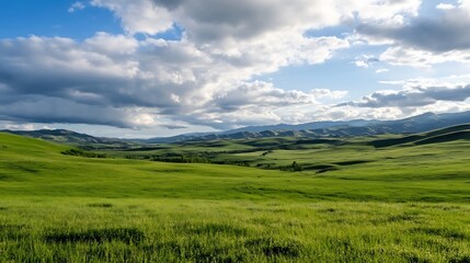 Fototapeta premium Expansive Green Landscape Under Dramatic Cloudy Sky Perfect for Nature and Scenic Photography : Generative AI