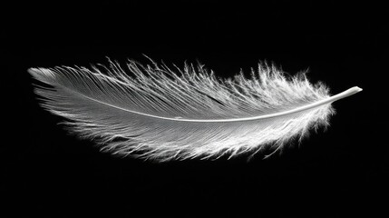 Obraz premium A single feather floating in the air, symbolizing lightness, freedom, and emotional release.