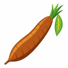Cassava white  background 