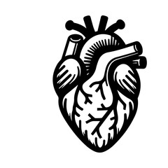 simple black human heart anatomy  icon vector design